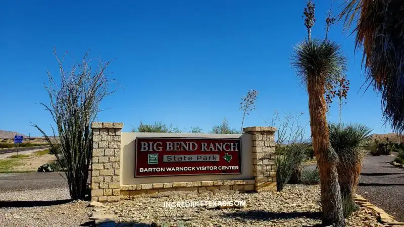 Rugged desert canyon vistas and mountain switchbacks along River Road in Big Bend Ranch State Park