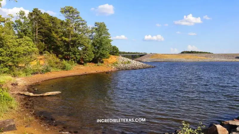 Pine forest shoreline and boat ramp docks at Lake O the Pines in East Texas