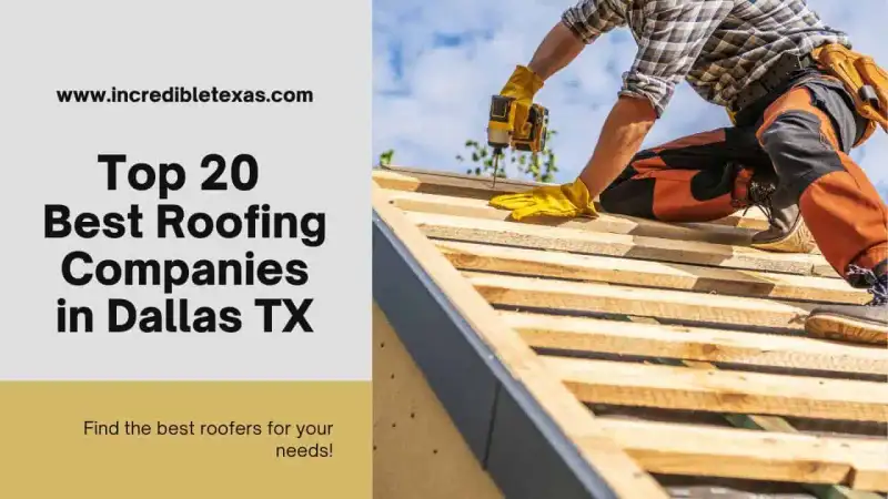 Professional roofing contractor crew installing architectural asphalt shingles on a suburban Dallas home