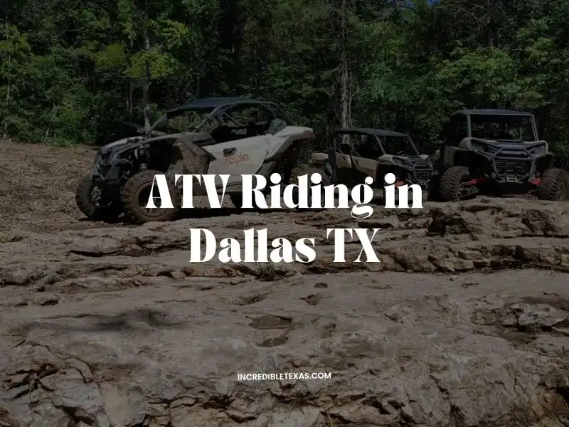 Rider piloting a four-wheel ATV through muddy wooded trail terrain near Dallas