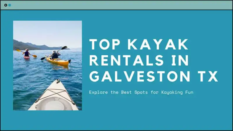Tandem and solo kayaks paddled across calm Galveston Bay coastal marsh waters at sunset