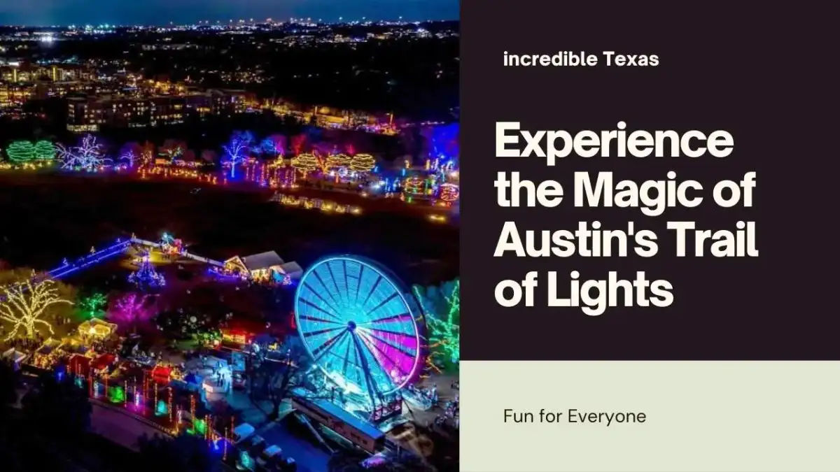 Festive holiday light displays illuminating trees and pathways in Zilker Park at night