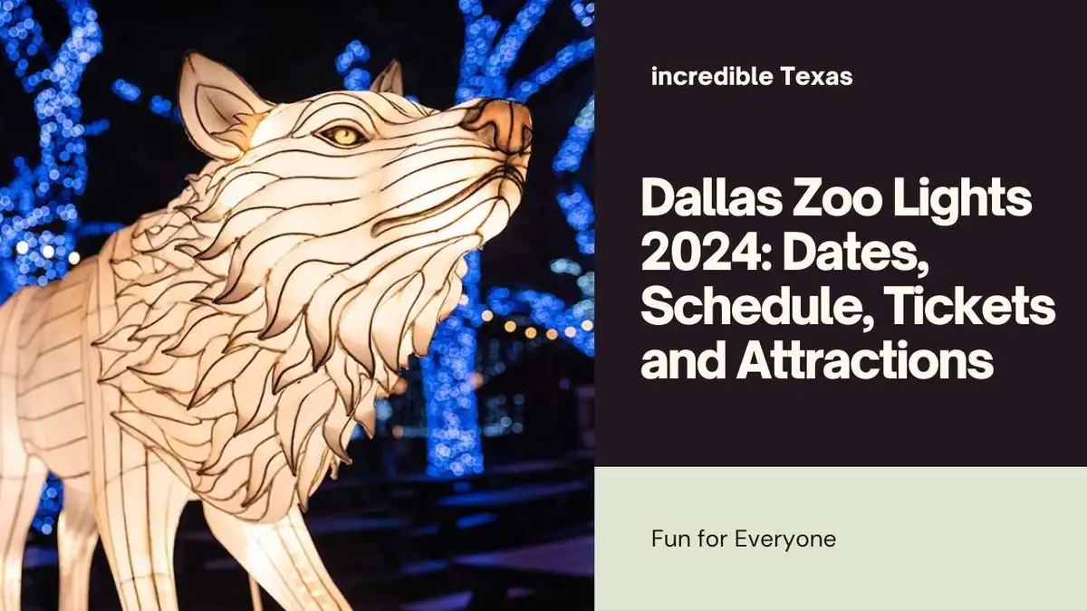 Illuminated glowing animal lanterns and sparkling light displays at Dallas Zoo Lights during the holiday season