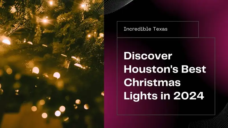 Brilliant holiday light displays illuminating mature oak trees and pathways in Houston Texas