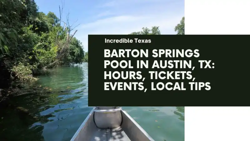 Barton Springs Pool in Austin, TX Hours, Tickets, Events, Local Tips