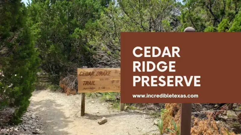 Wooded hiking trail with limestone steps along the escarpment at Cedar Ridge Preserve