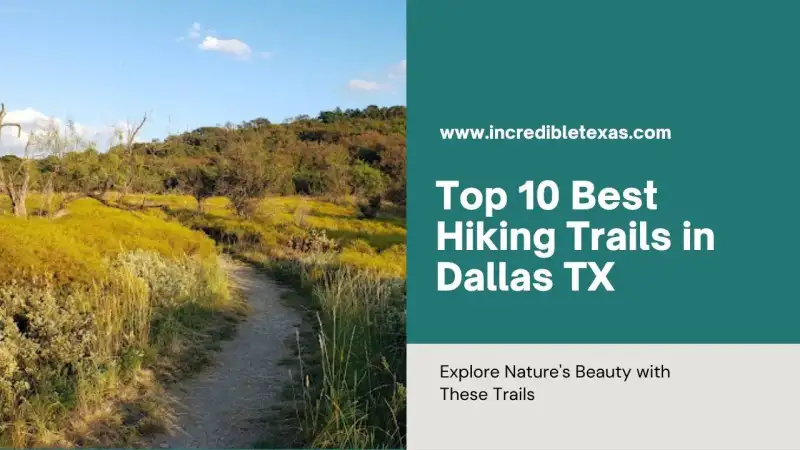 Hikers navigating shaded limestone pathways and wooded trails across Dallas nature preserves