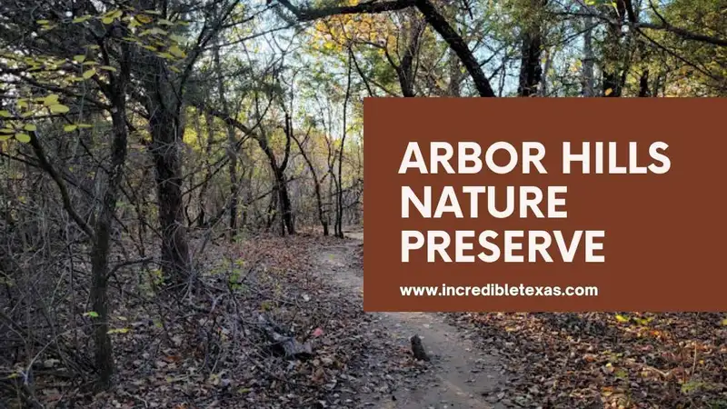 Paved walking trails winding through hardwood trees and prairie grasses at Arbor Hills Nature Preserve