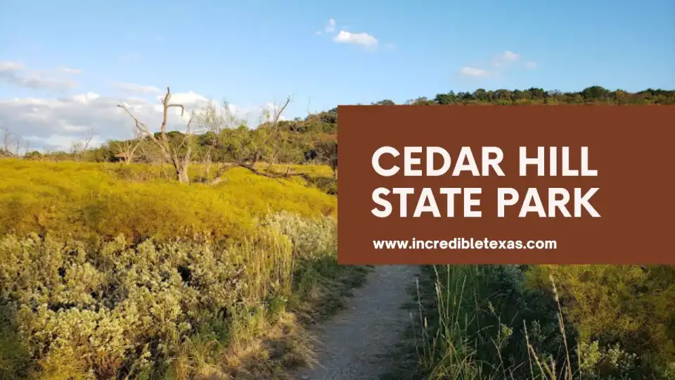 Ultimate Guide to Cedar Hill State Park – Hiking, Camping & Outdoor Adventures. Best places for hiking near Dallas TX. Family activities near Dallas TX.