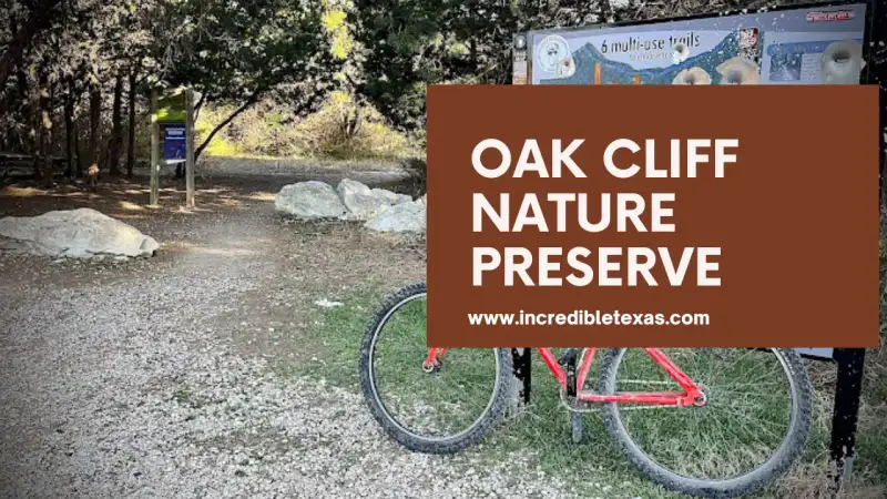 Forested hiking pathway winding through green trees at Oak Cliff Nature Preserve