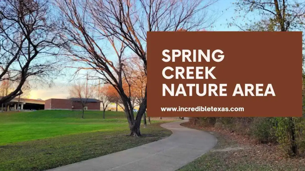 Paved walking trail bordered by green trees and creek banks at Spring Creek Nature Area