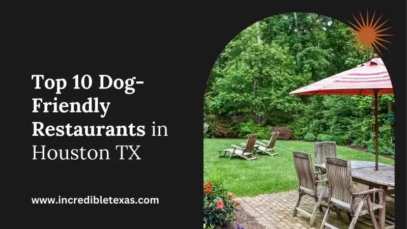Golden retriever sitting calmly beside a shaded wooden patio picnic table at a Houston Texas restaurant