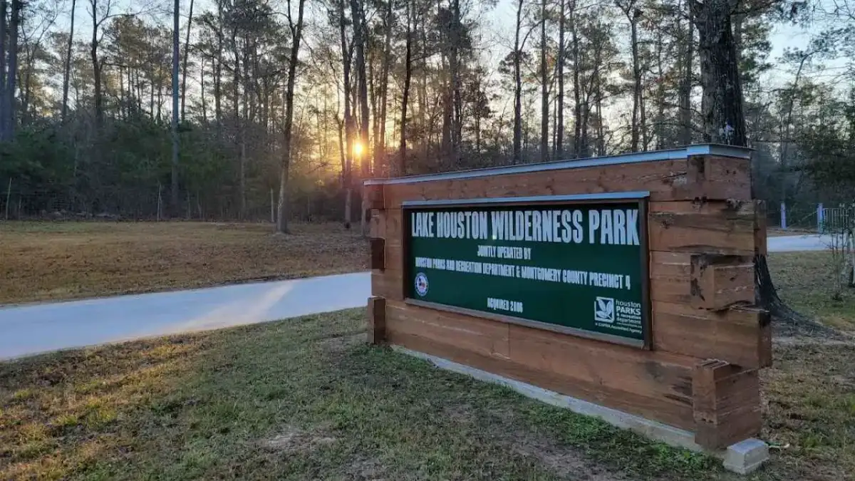 Forested trail passing through tall pine trees at Lake Houston Wilderness Park