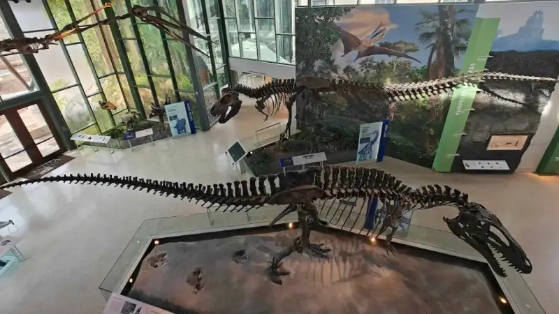 Exterior facade and grounds of the Witte Museum along the San Antonio River in Brackenridge Park
