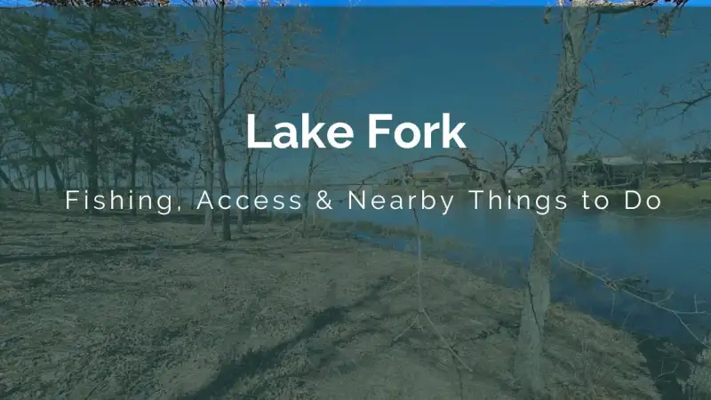Angler casting artificial crankbaits along a wooded shoreline at Lake Fork Reservoir