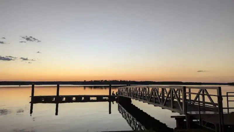 Cagle Recreation Area Lake Conroe boat ramp and shaded pine forest shoreline