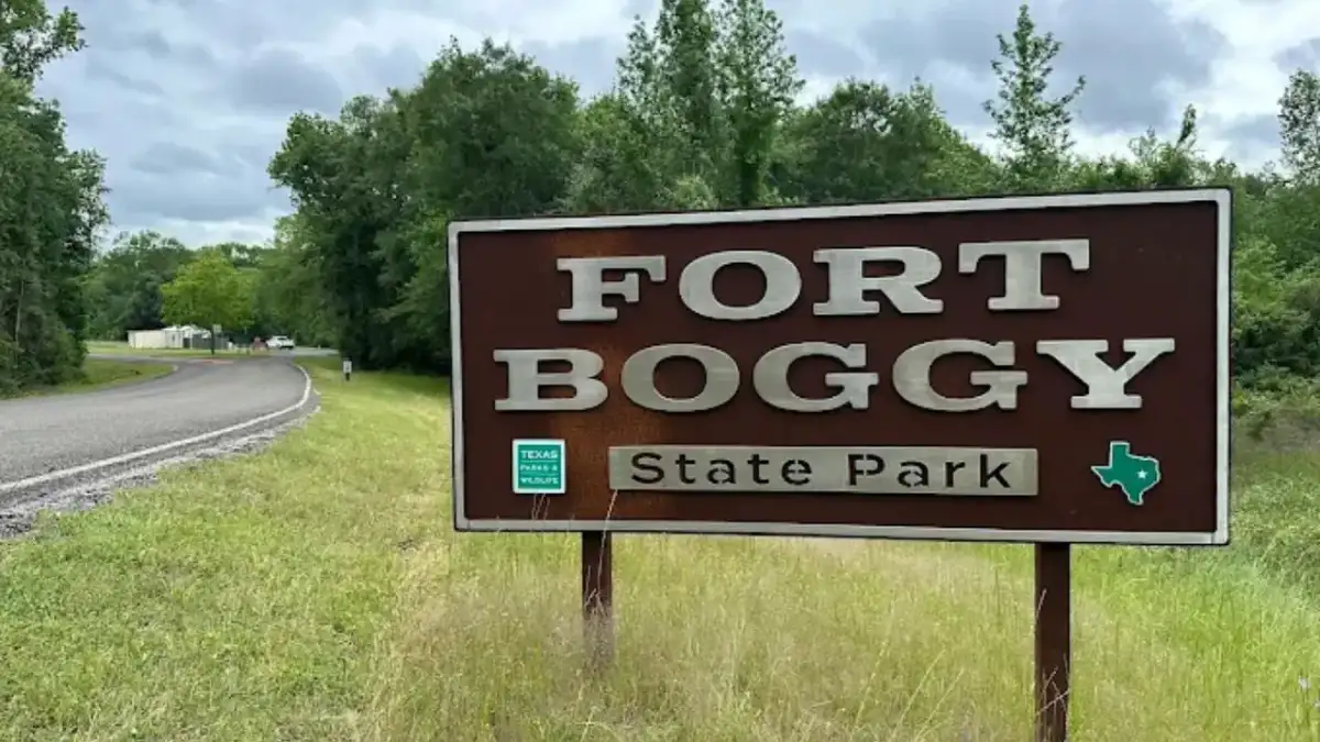 Scenic pine forest and calm waters of Sullivan Lake at Fort Boggy State Park