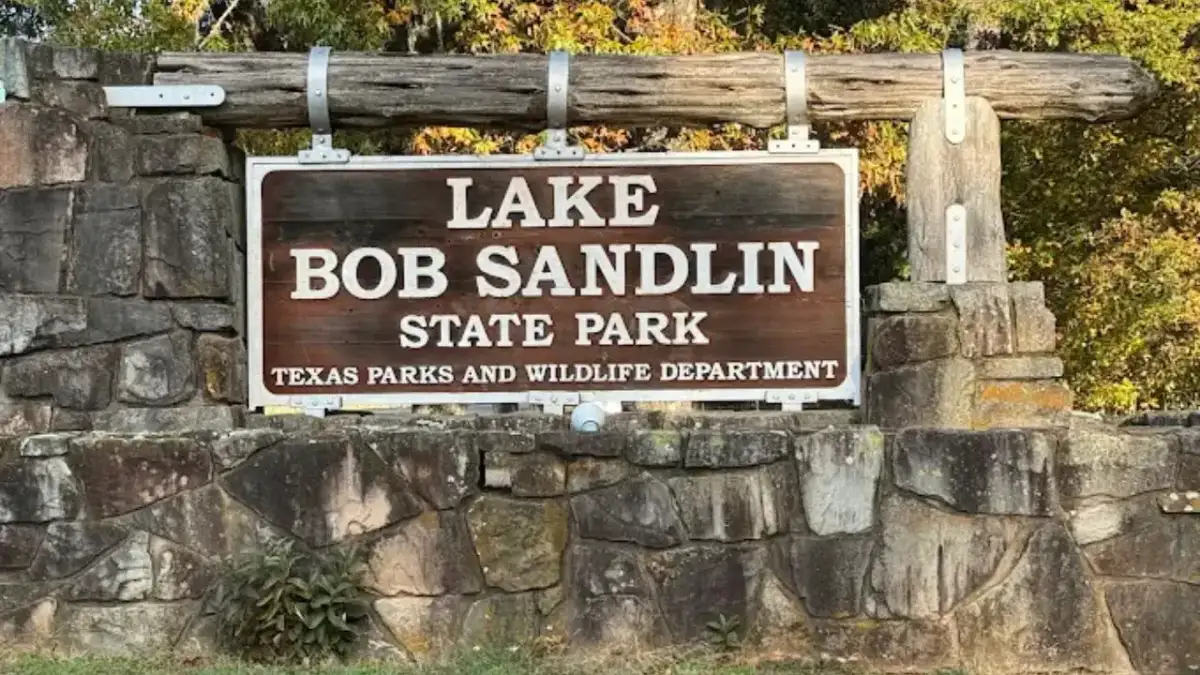 Lakeside wooded shoreline and fishing pier at Lake Bob Sandlin State Park