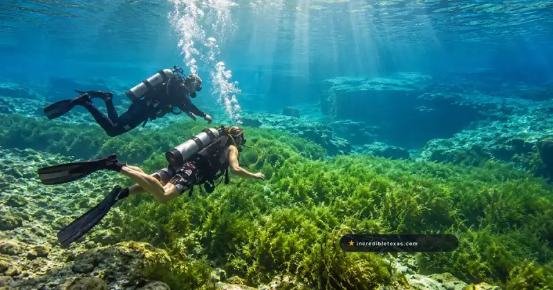 Scuba divers explore clear spring water at San Solomon Springs in Balmorhea