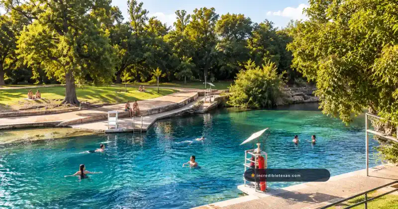 Adults swim beneath oak trees at Barton Springs Pool in Austin