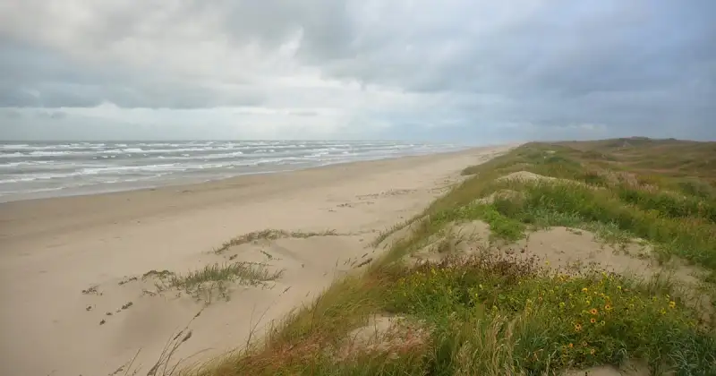 Padre Island National Seashore's open South Beach beside low dune grasses