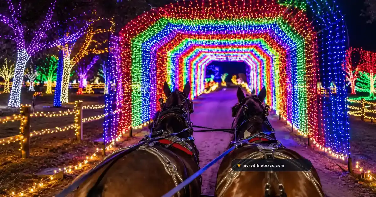 A horse-drawn carriage moves through the light tunnel at Santa’s Wonderland in College Station.