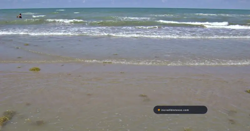 Boca Chica Beach's open Gulf shoreline near the southern tip of Texas