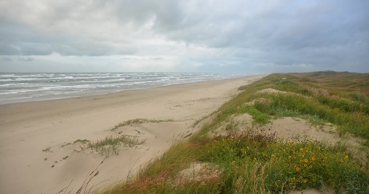 Open Gulf beach and low coastal grasses at Padre Island National Seashore
