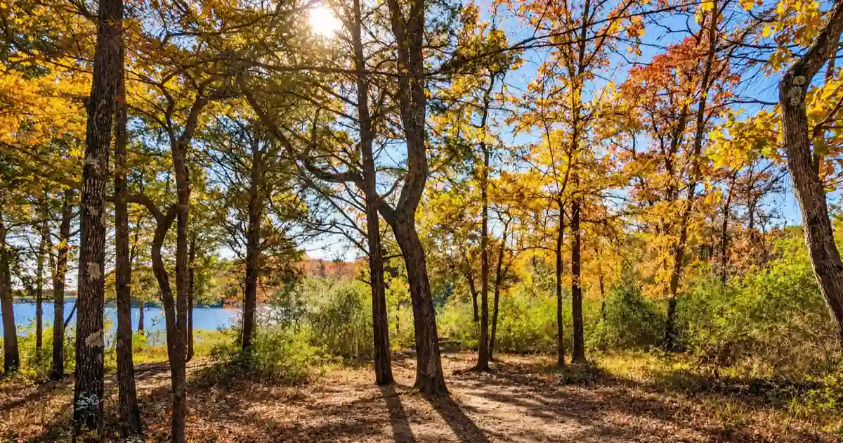 Autumn woodland and a glimpse of the lake at Purtis Creek State Park
