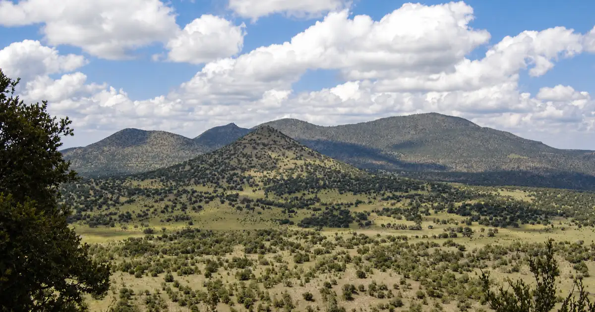 Layered volcanic ridges rise above grassland along TX-166 in the Davis Mountains.