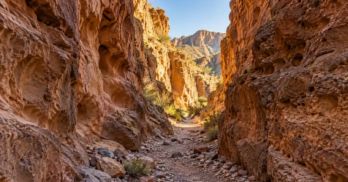 Narrow rock walls enclose a dry slot canyon near FM 170 in Big Bend Ranch State Park.