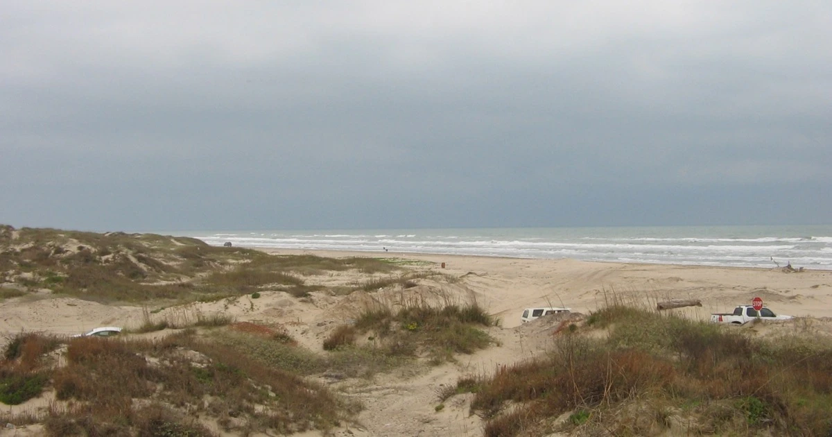 Boca Chica Beach dunes and coastal vegetation beside the Gulf shoreline