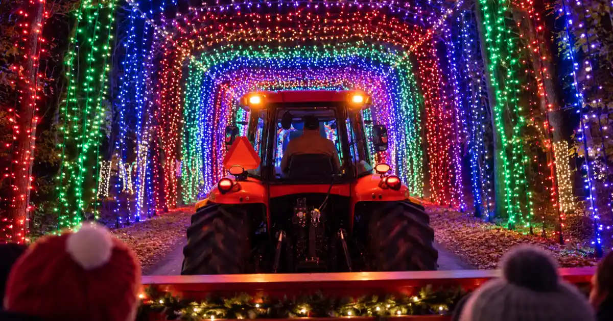 A tractor leads Santa’s Wonderland hayride through a multicolored light tunnel in College Station.