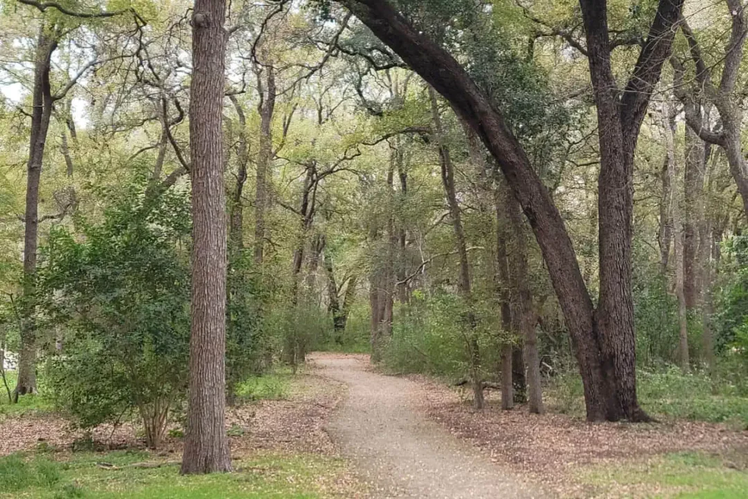 15 Best Things to Do in San Antonio - Brackenridge Park