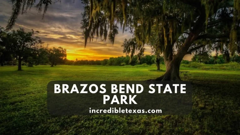 Brazos Bend State Park Texas Map, Camping, Fishing, Activities, Amenities, Reviews