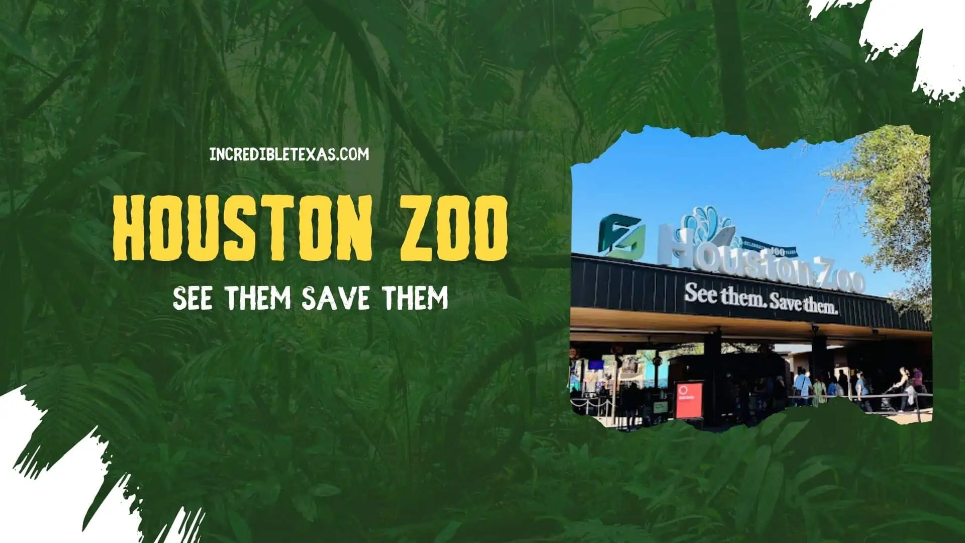 Houston Zoo Tickets, Hours, Map, Free Days, Price, Lights, Parking