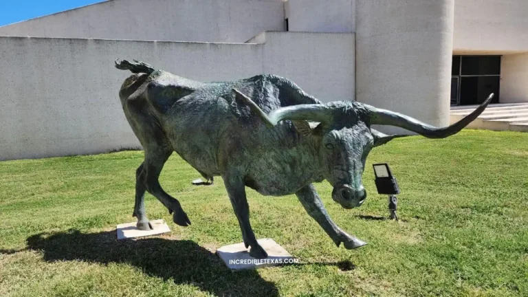 Art Museum of South Texas Corpus Christi