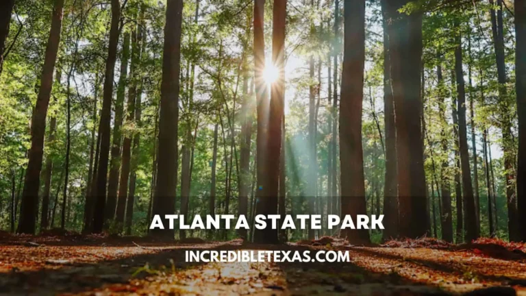 Atlanta State Park Map, Hours, Pricing, Trails, Camping, Cabins