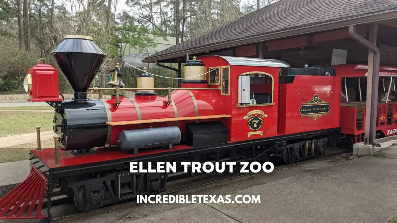 Ellen Trout Zoo Hours, Tickets, Price, Things to Do