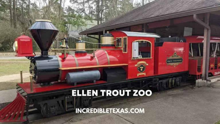 Ellen Trout Zoo Hours, Tickets, Price, Things to Do, Reviews