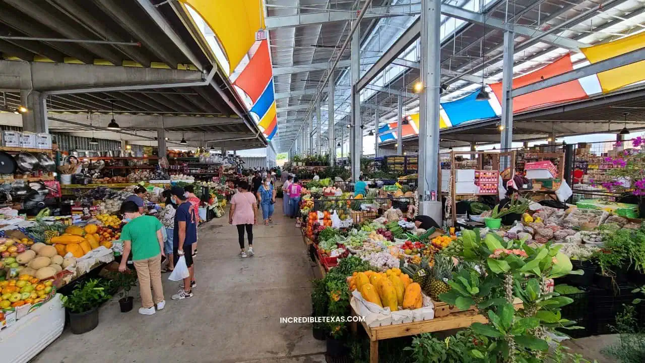 Farmers Market Houston