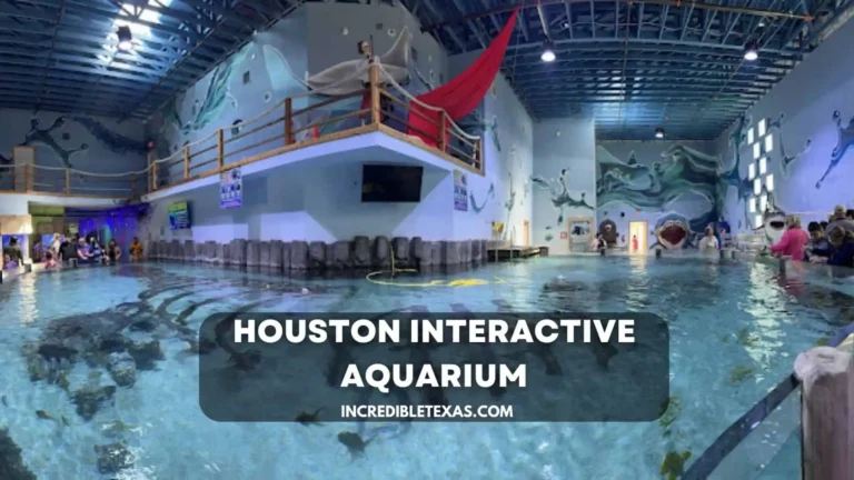 Houston Interactive Aquarium: Ticket Prices, Hours, Parking & Getting There