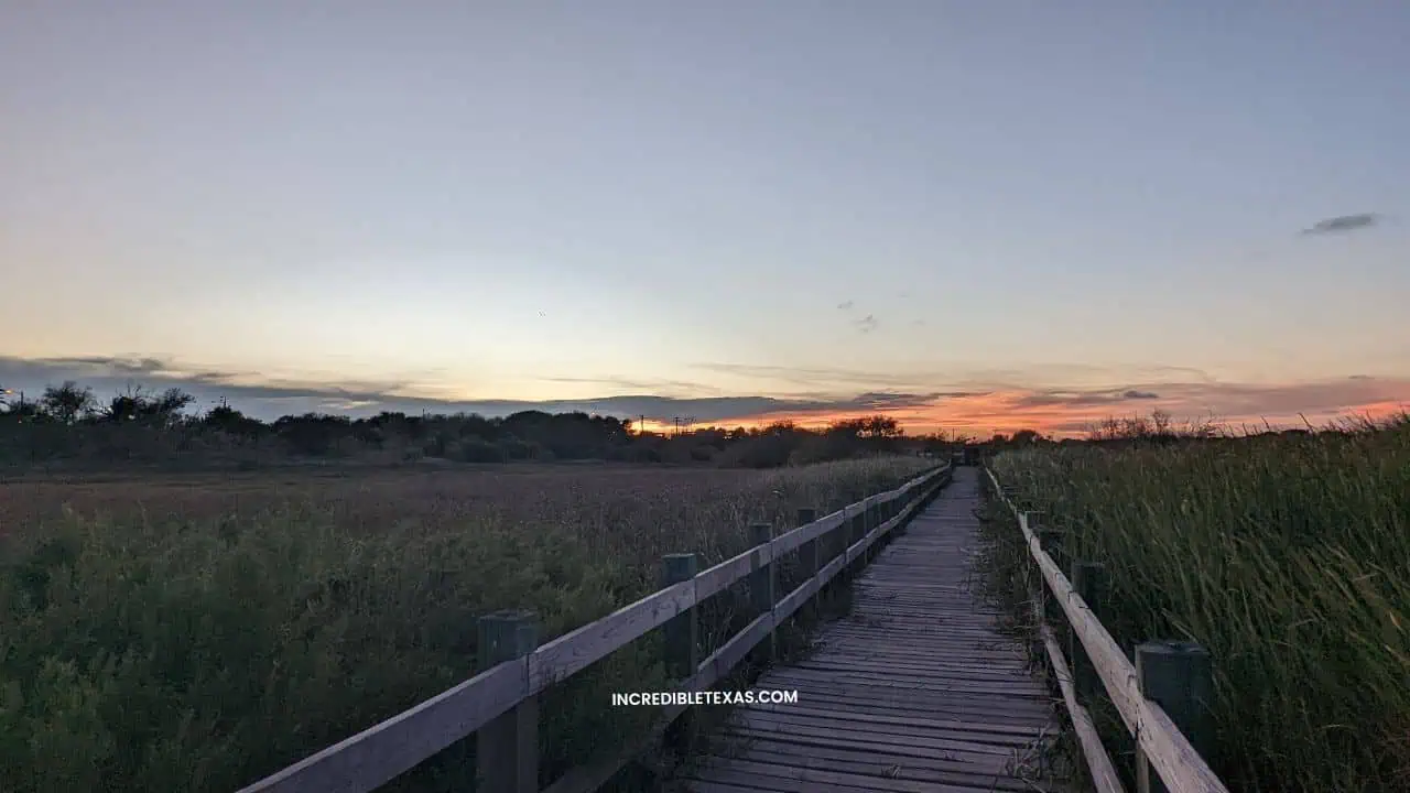 Pat Suter Wildlife Refuge Corpus Christi