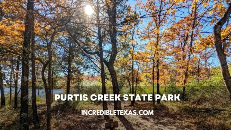 Purtis Creek State Park Map, Hours, Price, Trails, Camping, Cabins