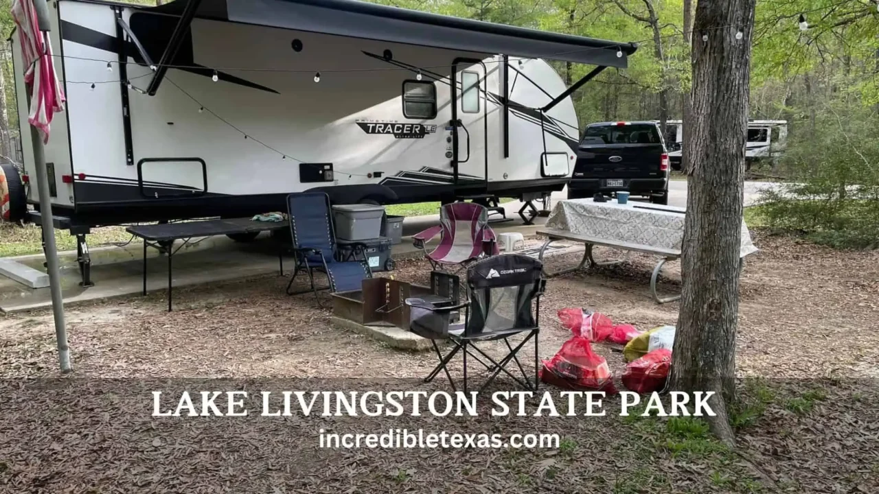 Lake Livingston State Park Camping TX