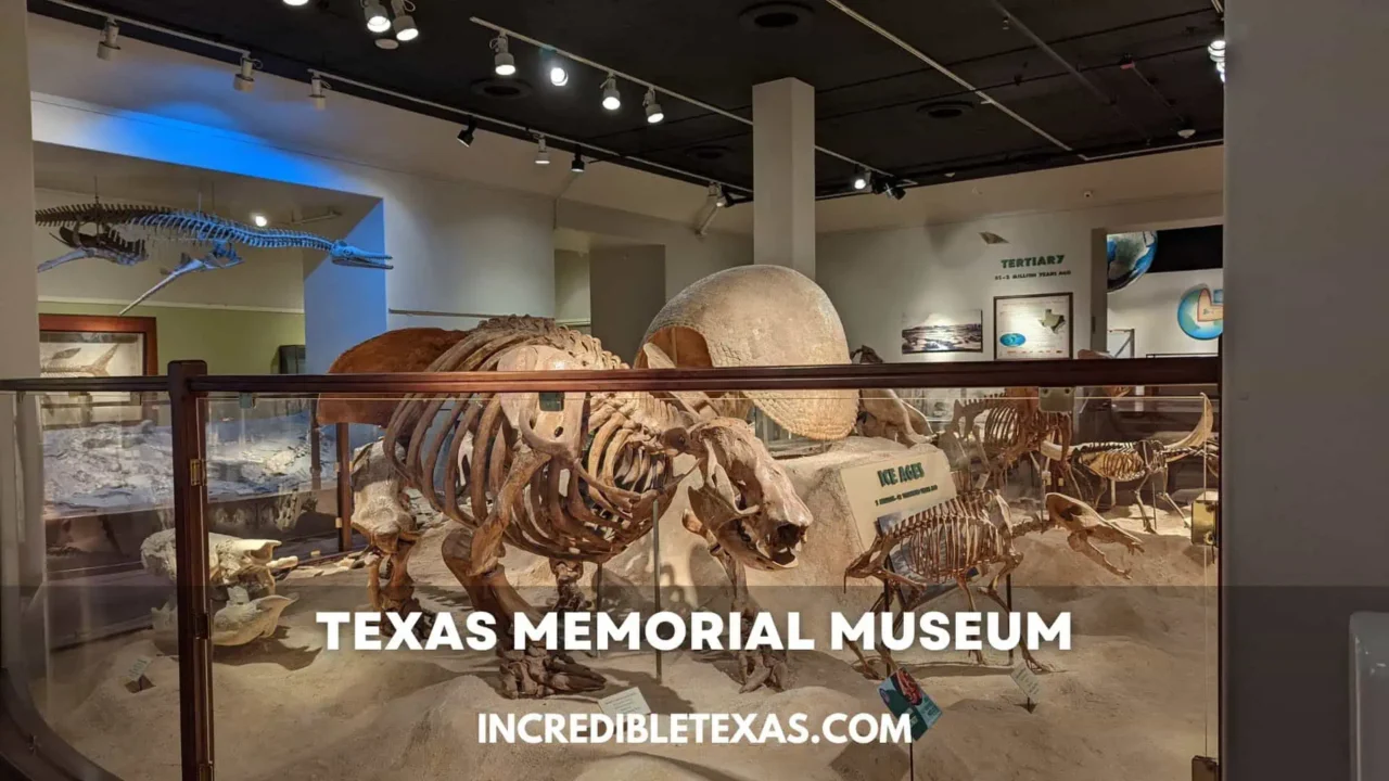 Texas Memorial Museum Austin TX