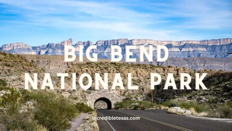 Explore Big Bend National Park: Map, Hours, Camping, Hikes, Scenic Drives & More