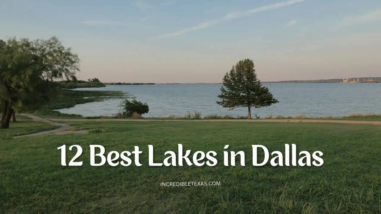 12 Best Lakes in Dallas