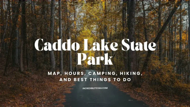 Caddo Lake State Park Map, Hours, Camping, Hiking Trails, and Best Things to Do