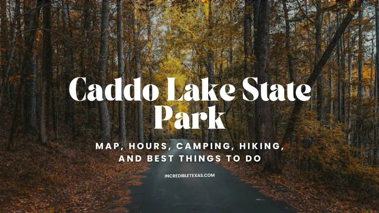 Caddo Lake State Park Map, Hours, Camping, Hiking, and Best Things to Do